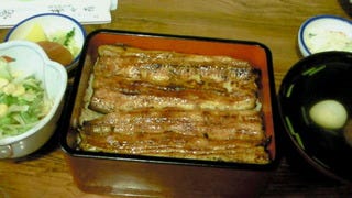 うな重