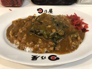 たっぷりほうれん草カレー