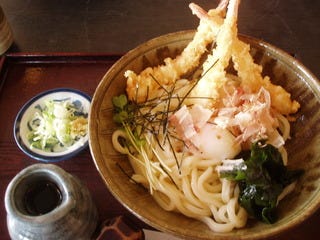 えびおろしうどん