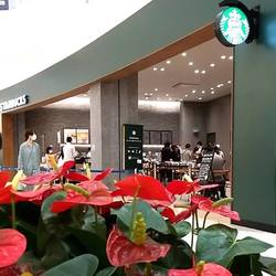スターバックスコーヒー アリオ西新井店 の画像