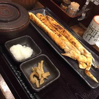 サーモンハラス定食