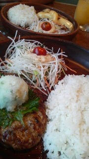 おろしそバーグデッシュ