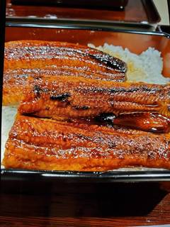 うな重　松