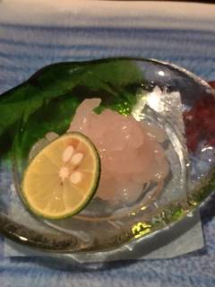 白エビのお刺身