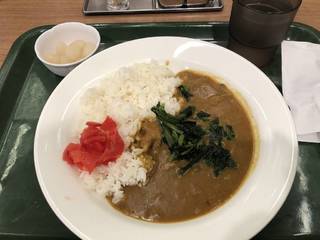 ほうれん草カレー