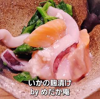 いかの麹漬け