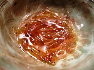 白魚の踊り食い