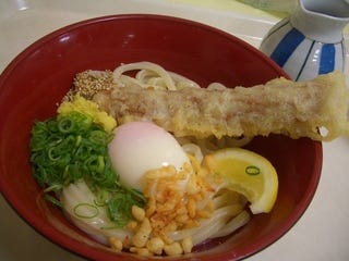 ぶっかけうどん