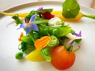 ニセコ夏野菜のサラダ