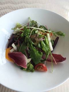 スペシャルベジタブルサラダ