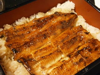 上うな重