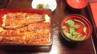 うなぎの蒲焼き