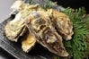 奥松島産　殻付き牡蠣