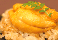 文句なしの一番人気！！