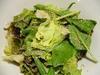 ホウレン草とじゃこのグリーンサラダ