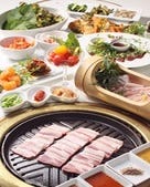 サムギョプサルコース