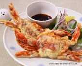 赤のかにばさみフライ