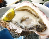 旬の味！取れてたての牡蠣
