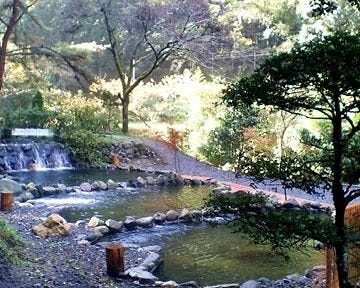 細流 せせらぎ 福岡県 久留米 Biglobe旅行 グルメ