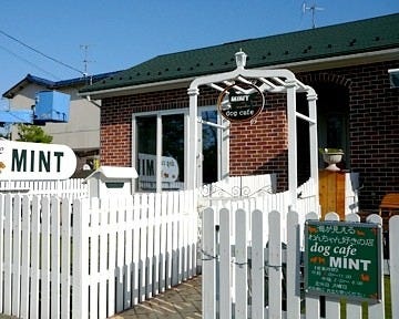 Dog Cafe Mint ドッグカフェミント 地図 写真 かほく 津幡 内灘 カフェ スイーツ 喫茶その他 ぐるなび Dog Cafe Mint ドッグカフェミント 地図 写真 かほく 津幡 内灘 カフェ スイーツ 喫茶その他 ぐるなび