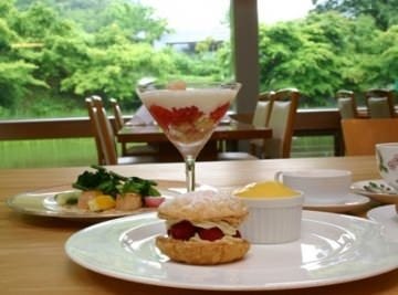 レストランももちどり 地図 写真 郡上 フレンチ フランス料理 ぐるなび