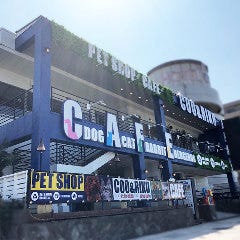 クリスマスディナー特集 江ノ島 鵠沼 クリスマスディナー デートにおすすめのお店 ぐるなび