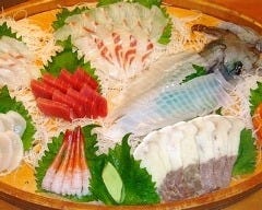 菊正寿司 