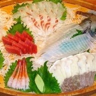 菊正寿司 の画像
