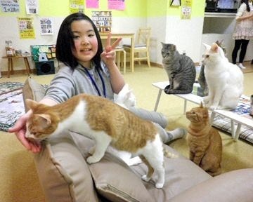 あいきゃっと 福島店 地図 写真 福島市 カフェ ぐるなび