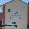 DOG HILL の画像