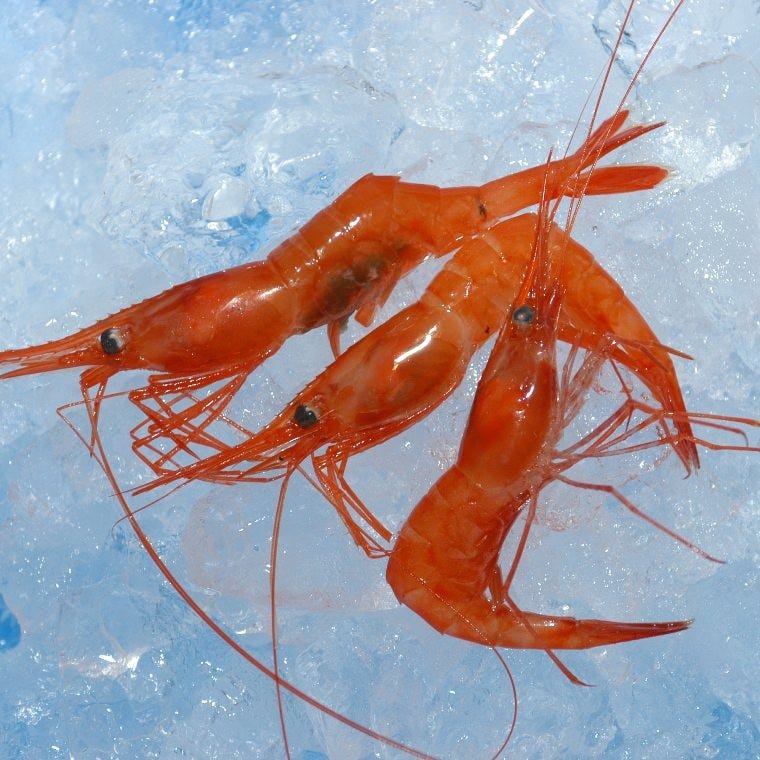 地魚工房(地図/写真/新潟市中央区/食事処) - ぐるなび