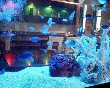 Caferestaurant Zakka空kuu 早苗店 地図 写真 佐世保 イタリアン イタリア料理 ぐるなび