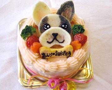 Doglab Bubble Boo ドッグラボバブルブー 地図 写真 姫路 カフェ ぐるなび