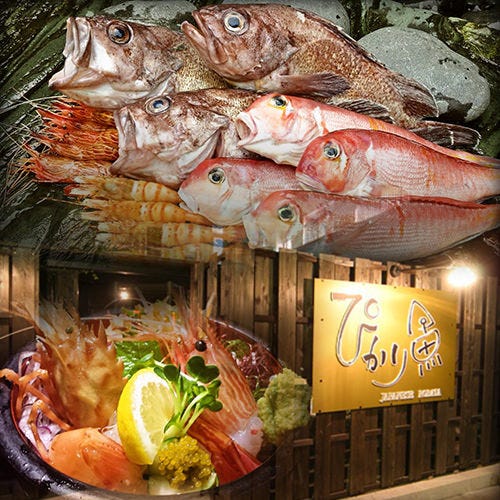 Japanese Robataぴかり魚 地図 写真 那覇 居酒屋 ぐるなび