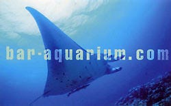 shot baraquarium ショットバーアクアリウム 地図 写真 関内 馬車道 ショットバー ぐるなび shot baraquarium ショットバーアクアリウム 地図 写真 関内 馬車道 ショットバー ぐるなび