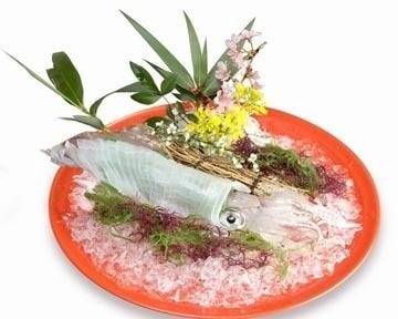 浜夕 地図 写真 宗像 会席料理 ぐるなび