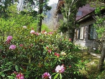 四国山岳植物園 岳人の森 観月茶屋 地図 写真 美馬 吉野川 石井 郷土料理 ぐるなび
