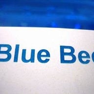 BlueBee の画像