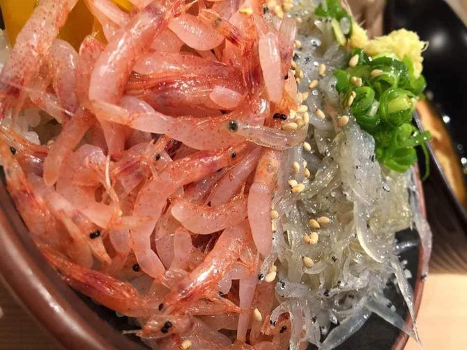 駿河湾 沼津海いち Bivi沼津店 地図 写真 沼津 海鮮 海鮮料理 ぐるなび 駿河湾 沼津海いち Bivi沼津店 地図 写真 沼津 海鮮 海鮮料理 ぐるなび