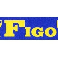 FIGO の画像