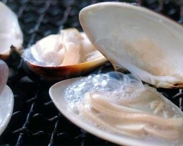 いさりび食堂 地図 写真 東金 九十九里 海鮮 海鮮料理 ぐるなび