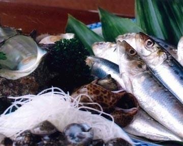 いさりび食堂 地図 写真 東金 九十九里 海鮮 海鮮料理 ぐるなび