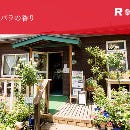 ROSEHIP CAFE（ローズヒップカフェ） の画像