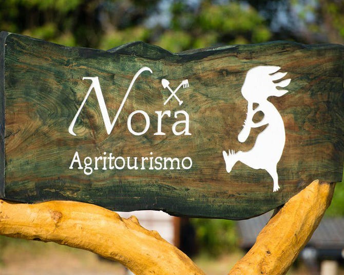 農園レストラン Nora 地図 写真 坂井 あわら 永平寺 野菜料理 ぐるなび