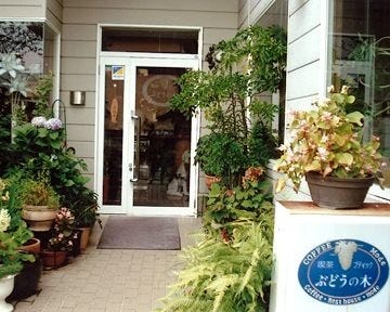 ぶどうの木 地図 写真 南国 香南 香美 喫茶店 ぐるなび