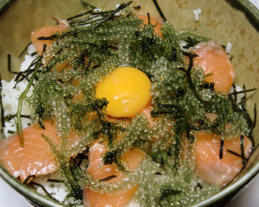 沖縄料理のある居酒屋 まんぷく 地図 写真 白楽 反町 沖縄料理 ぐるなび