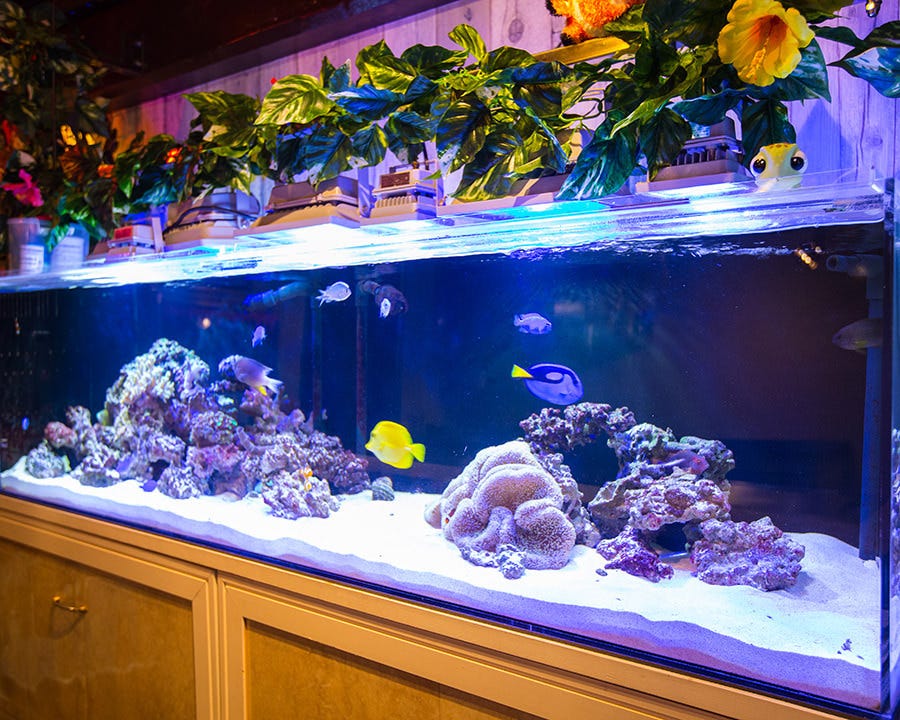 21年 最新グルメ 豊中にあるのんびりくつろげるお店 レストラン カフェ 居酒屋のネット予約 大阪版