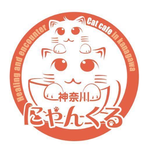 猫カフェ にゃんくる 川崎店 地図 写真 川崎 カフェ ぐるなび 猫カフェ にゃんくる 川崎店 地図 写真 川崎 カフェ ぐるなび