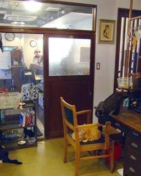 Catteria Cloud Nine キャッテリアクラウドナイン 地図 写真 新大阪駅 カフェ ぐるなび