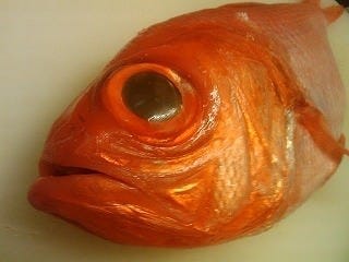 藁焼きと高知の地酒 かがやきダイナー 梅田店 地図 写真 梅田 大阪駅 郷土料理 ぐるなび